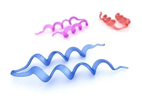 Protein 3D model over white Stock Illustration