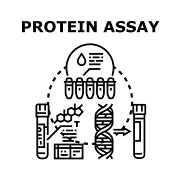 Protein assay concept analyzing biochemical data 库存插图