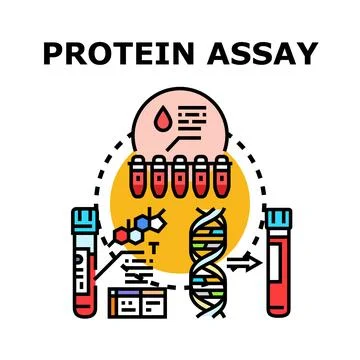 Protein assay concept analyzing biochemical data Stock Illustration