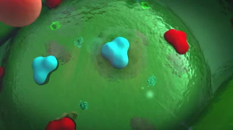 Protein, cell Video stock 48581089