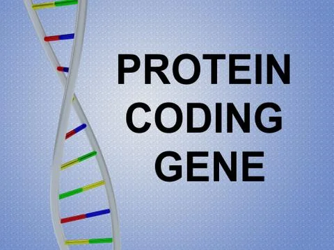 PROTEIN CODING GENE concept Foto stock