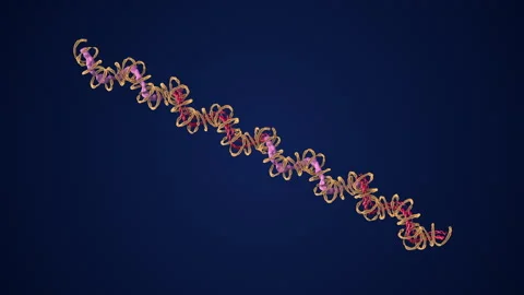 Protein folding is caused by polypeptide chains Stock Footage 281643324