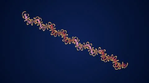 Protein folding is caused by polypeptide chains イラスト素材