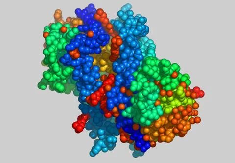 Protein molecular model with atoms Illustrazione stock