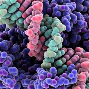 Protein molecules, artwork Stock Illustration