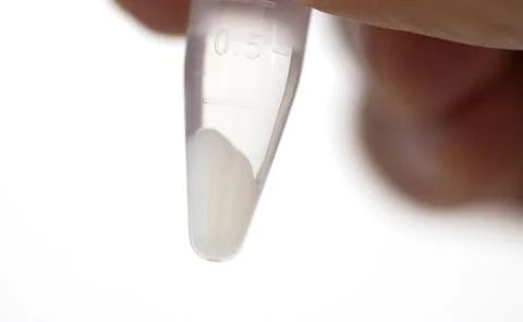 Protein particles are settle. Stock Photos