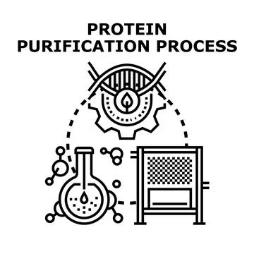 Protein purification process development biotechnology concept Illustrazione stock