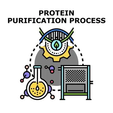 Protein purification process development biotechnology concept Stock Illustration
