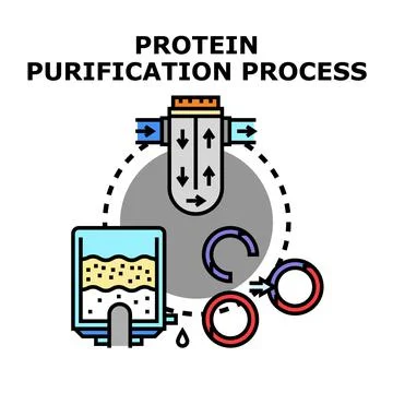 Protein purification process separating molecules scientific research Illustrazione stock