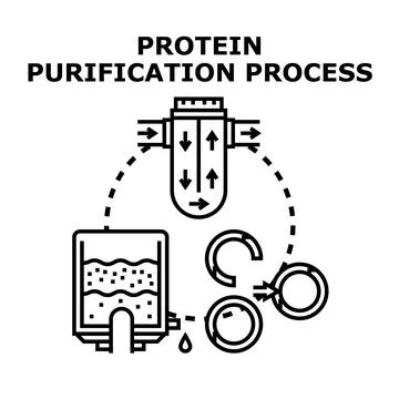 Protein purification process separating molecules scientific research Stock Illustration