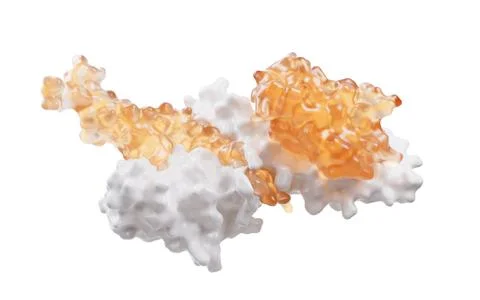 Protein structure with biological concept, 3d rendering. Stock Illustration