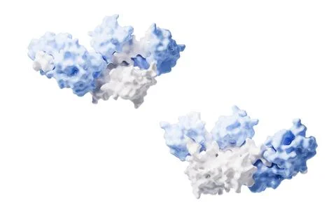 Protein structure with biological concept, 3d rendering. 库存插图