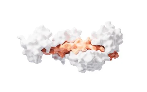 Protein structure with biological concept, 3d rendering. 库存插图