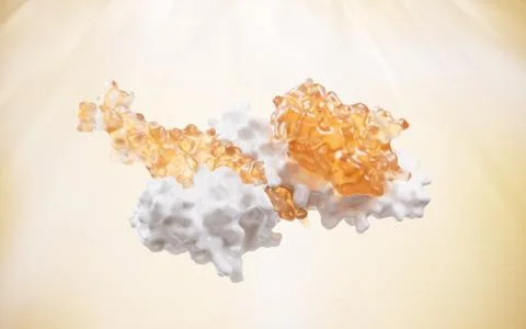 Protein structure with biological concept, 3d rendering. 库存插图
