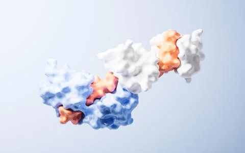 Protein structure with biological concept, 3d rendering. 库存插图