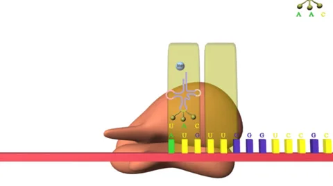 PROTEIN SYNTHESIS Stock Footage 38978613