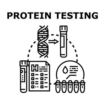 Protein testing vector concept for medical diagnostic Stockillustratie