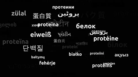 Protein Translated in 55 Worldwide Languages Endless Looping 3d Zooming Wordc Video stock 145201779
