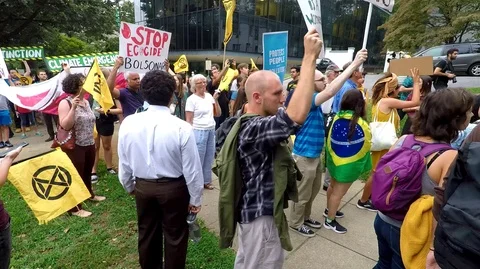 Protest against Amazon Rainforest Fires at Brazilian Embassy Stock Footage 114815996