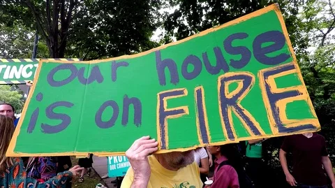Protest against Amazon Rainforest Fires at Brazilian Embassy Stock Footage 114815999