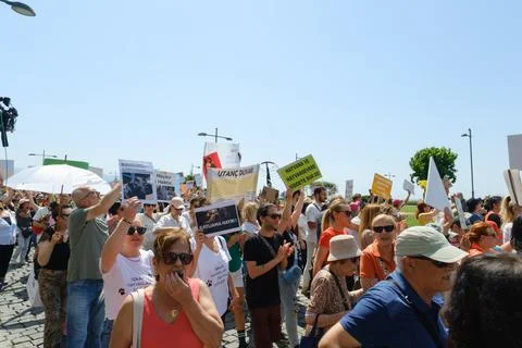 Protest Against Stray Dog Euthanasia Bill Stock Photos