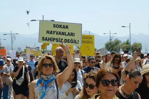 Protest Against Stray Dog Euthanasia Bill Stock Photos