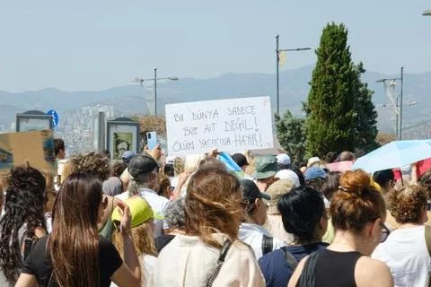 Protest Against Stray Dog Euthanasia Bill Stock Photos