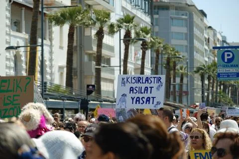Protest Against Stray Dog Euthanasia Bill Stock Photos