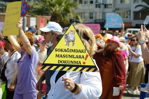 Protest Against Stray Dog Euthanasia Bill Stock Photos