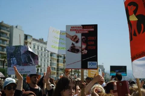 Protest Against Stray Dog Euthanasia Bill Stock Photos