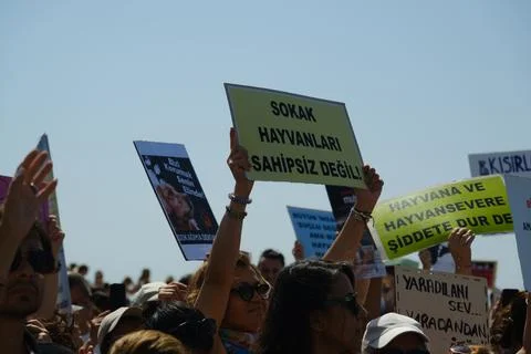Protest Against Stray Dog Euthanasia Bill Stock Photos