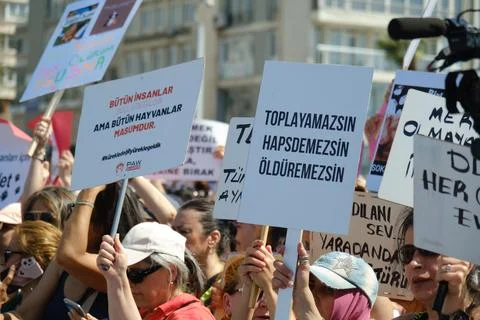 Protest Against Stray Dog Euthanasia Bill Stock Photos