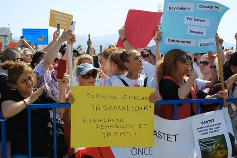 Protest Against Stray Dog Euthanasia Bill Stock Photos