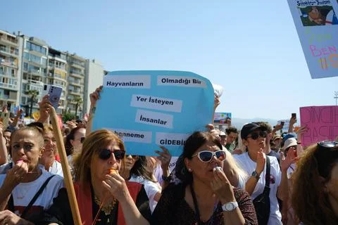 Protest Against Stray Dog Euthanasia Bill Stock Photos
