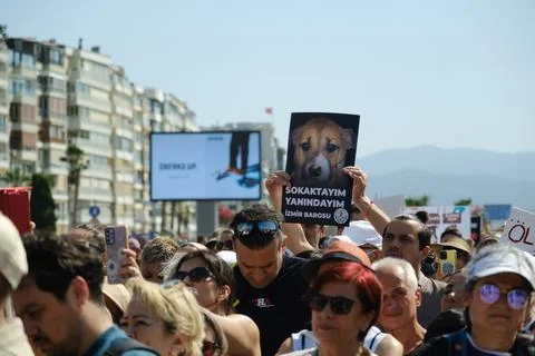 Protest Against Stray Dog Euthanasia Bill Stock Photos