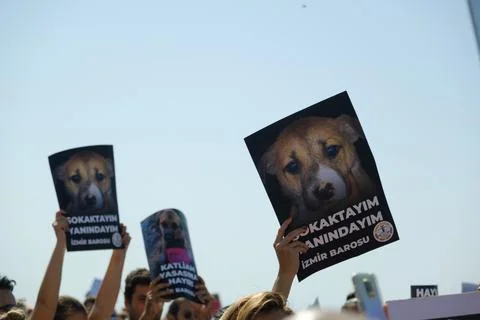 Protest Against Stray Dog Euthanasia Bill Stock Photos