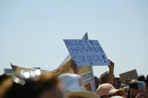 Protest Against Stray Dog Euthanasia Bill Stock Photos