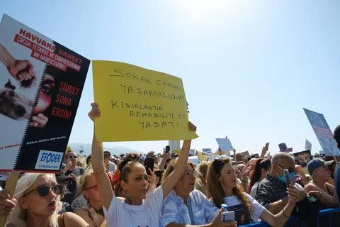 Protest Against Stray Dog Euthanasia Bill Stock Photos