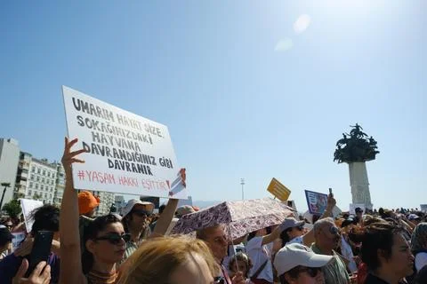 Protest Against Stray Dog Euthanasia Bill Stock Photos