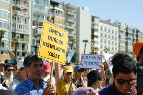 Protest Against Stray Dog Euthanasia Bill Stock Photos