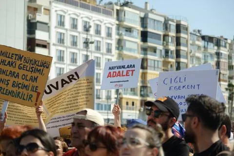 Protest Against Stray Dog Euthanasia Bill Stock Photos