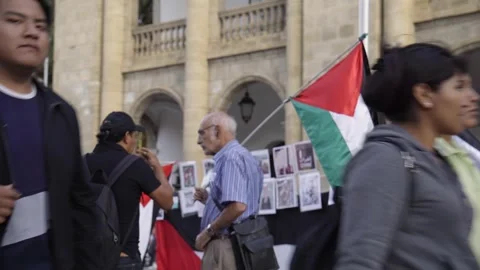 Protest, against war Palestine Stock Footage 273121779