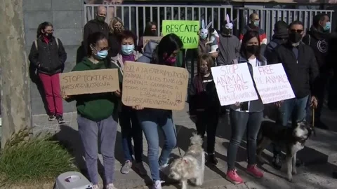 Protest in Barcelona against animal testing, Barcelona, ES - 18 Apr 2021 스톡 동영상 204019787