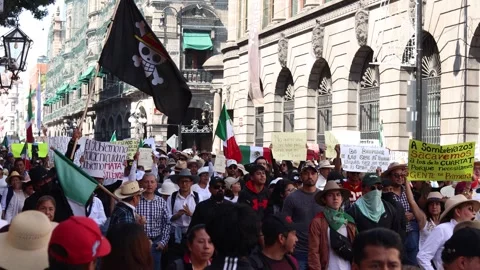 Protest Crowd With Mexican and One Piece Pirate Flags in Puebla Zocalo Stock Footage 341881199