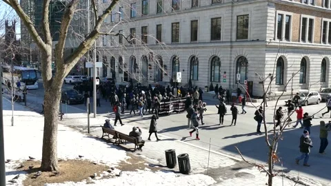 Protest during spring Video stock 138496154