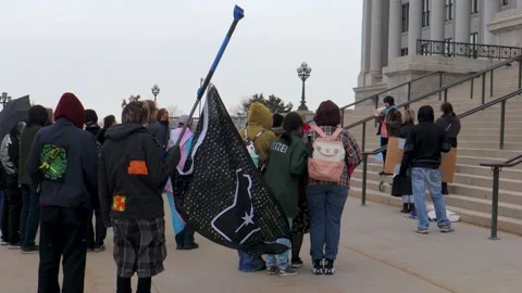 Protest group outside capital Stock Footage 238961888