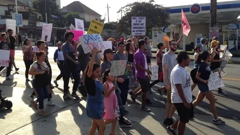 Protest March to support the Dreamers DACA Los Angeles Stock Footage Stock Footage 79932027