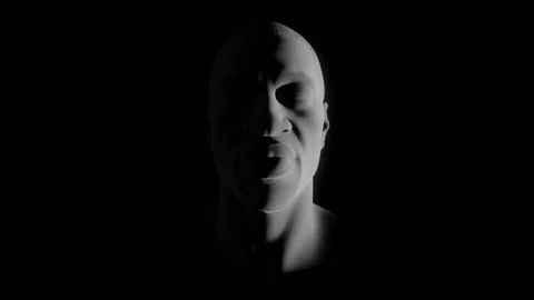 Protest movement. Activists network. Stock Footage 133508339