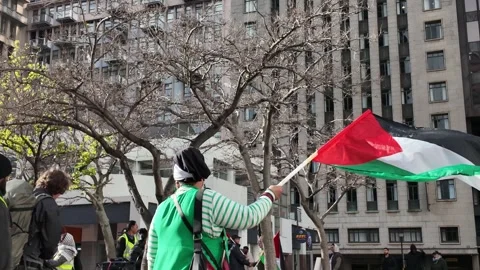 Protest for Palestine outside British consulate in Cape Town Video stock 314223300
