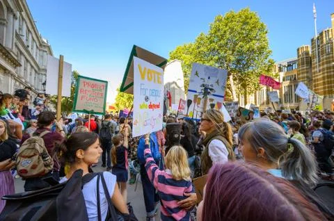 Protest placards held high by Climate Change protesters at an Extinction Rebe Stock Photos